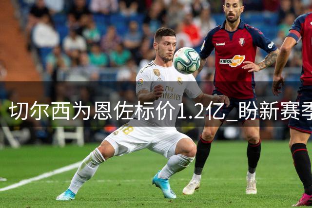 切尔西为恩佐标价1.2亿 盼新赛季前完成转会